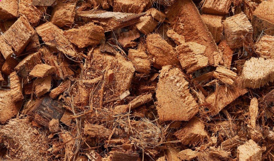Cocochips